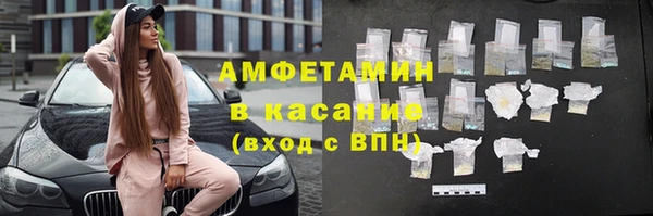 шишки Аркадак