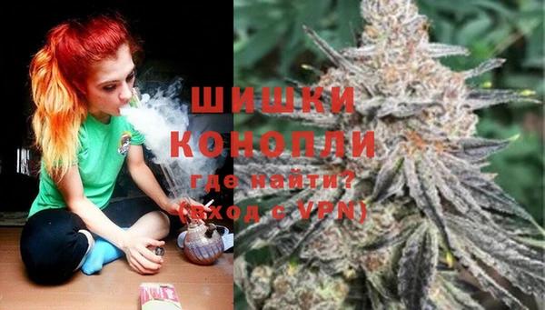 шишки Аркадак
