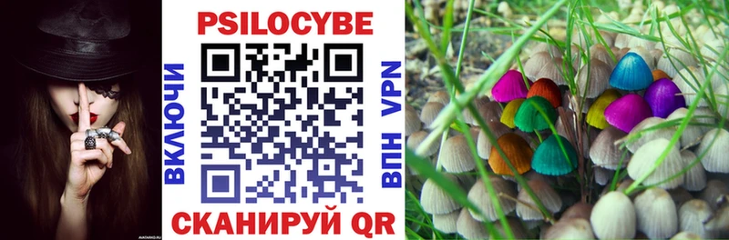 Галлюциногенные грибы Cubensis  blacksprut   Петухово 